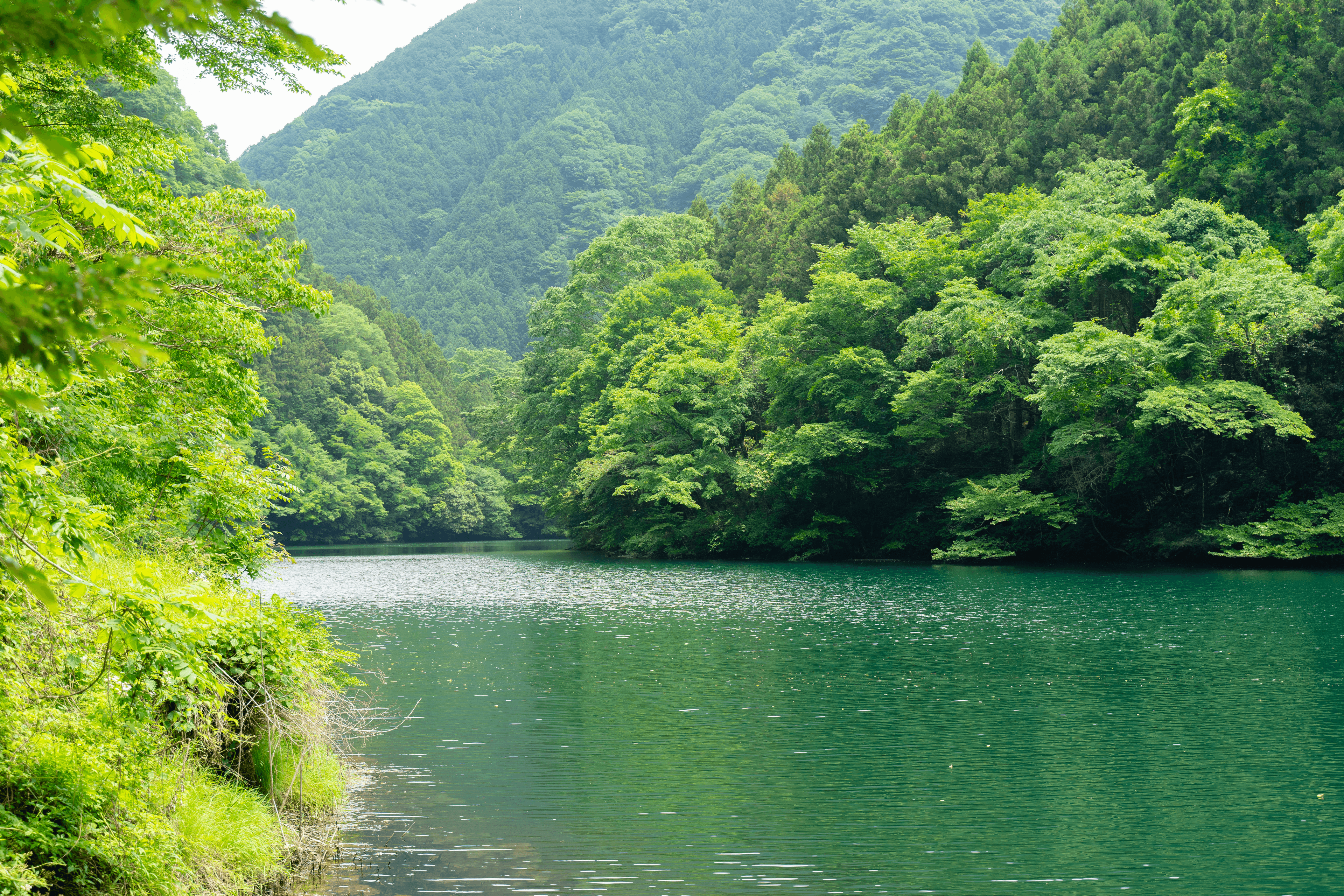 奥多摩でSUP!デートにおすすめの絶景体験